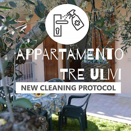 Appartamento Tre Ulivi 토스콜라노마데노 외부 사진